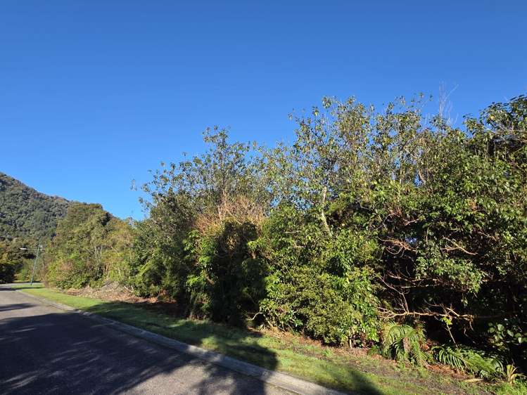 33 Highlander Drive Franz Josef Glacier_7