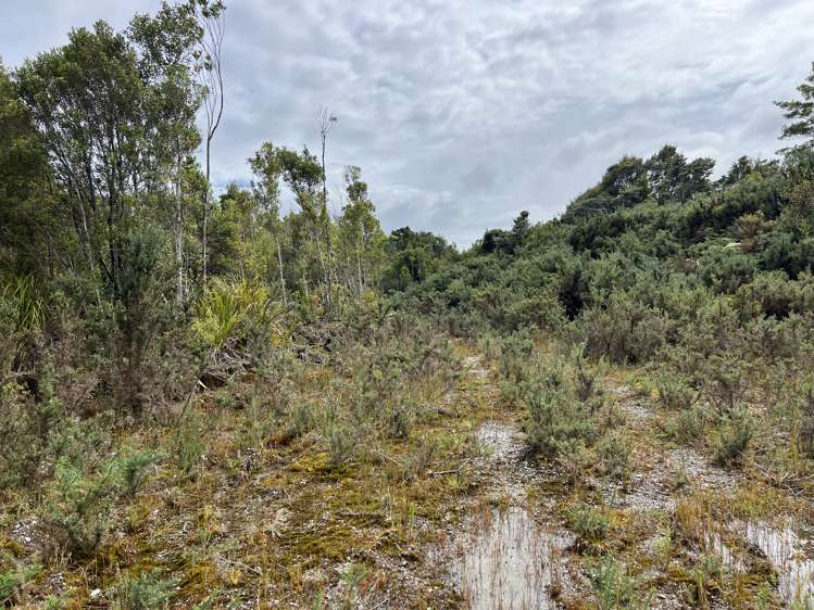 Lot . State Highway 6 Barrytown_9