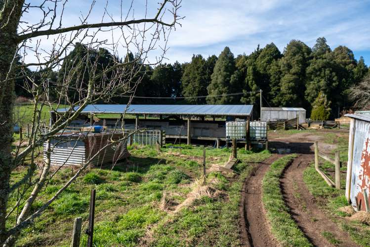 655 Whakapapa Road Kakahi_13