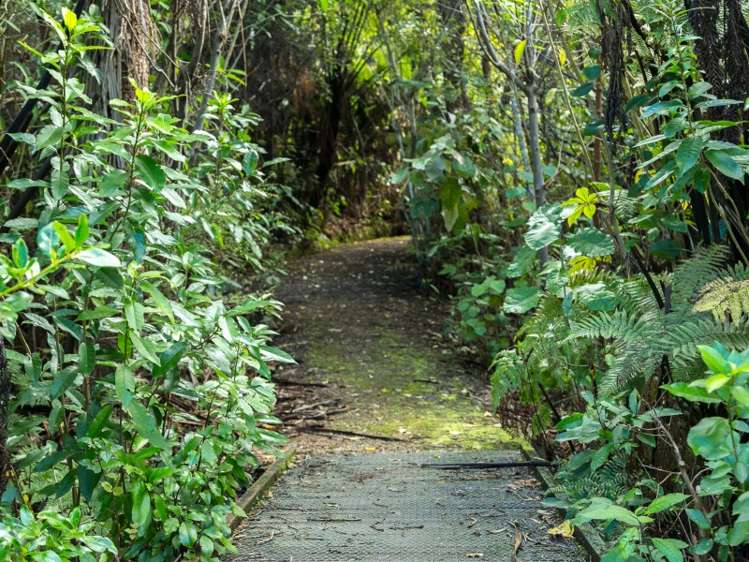 40 Moetapu Bay Road Anakiwa and Surrounds_15
