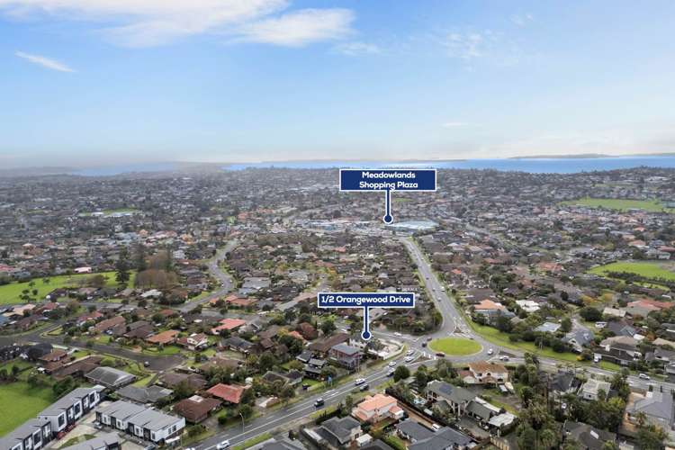 1/2 Orangewood Drive Shamrock Park_28