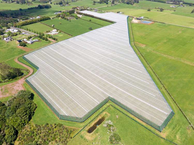 Te Ahu Ahu Road Waimate North_1