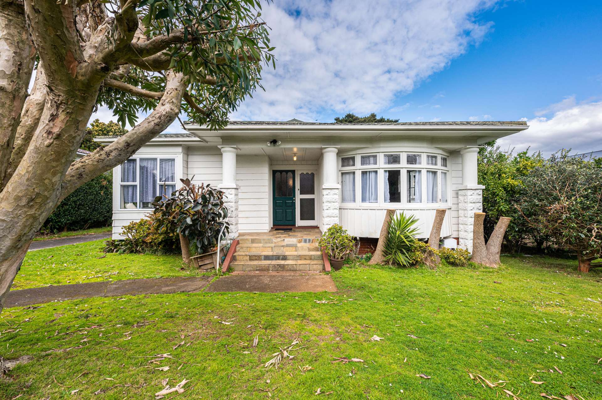 8 Pukehana Avenue Epsom_0