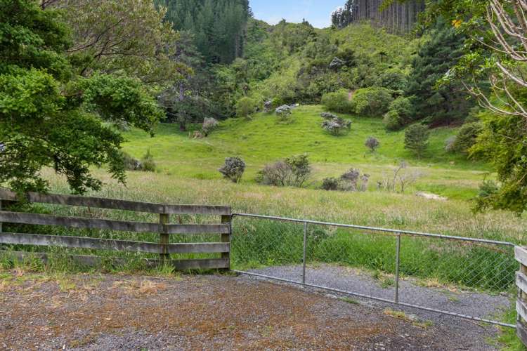 Kakapo Bay Port Underwood_7