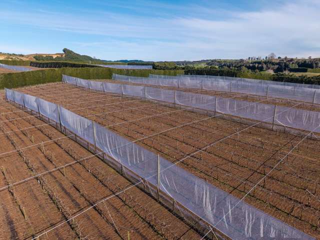 80 Roydon Downs Road Paengaroa_4