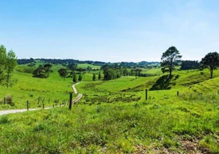 515 Kahikatea Flat Road Pine Valley_21