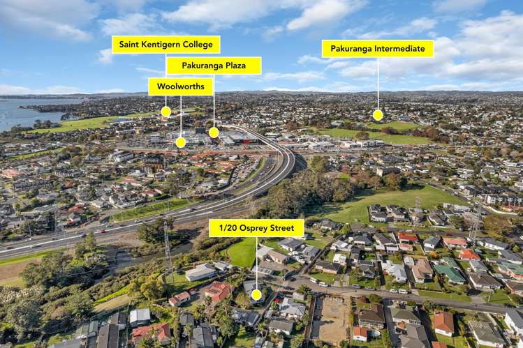 1/20 Osprey Street Pakuranga_12
