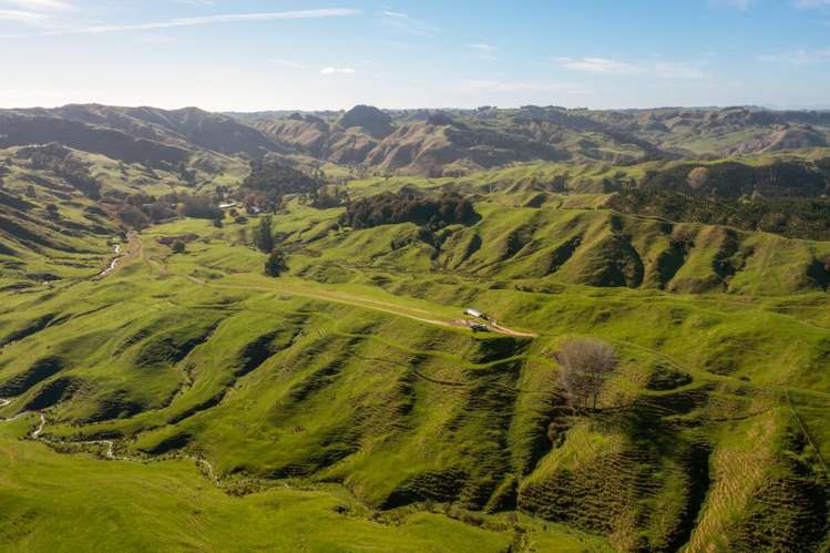 231 Leitch Road Piopio_6