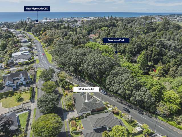 55 Victoria Road New Plymouth Central_1