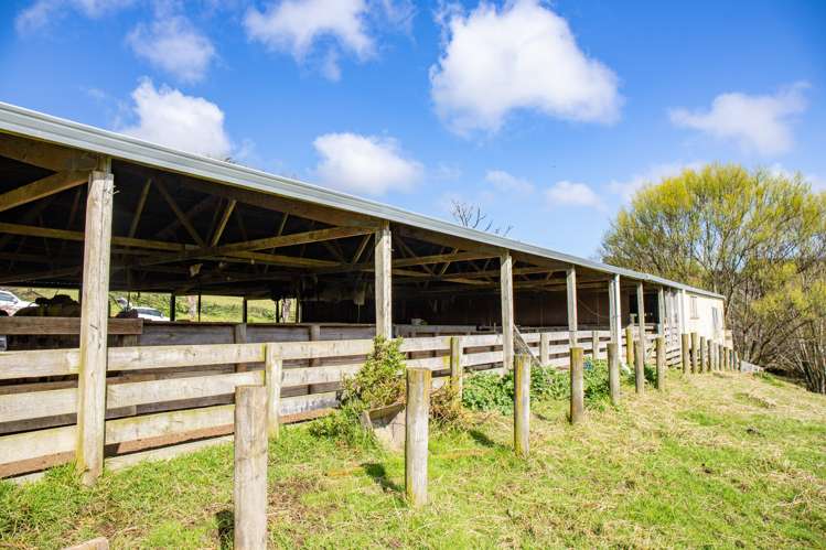 164 Arcadia Road Paparoa_2