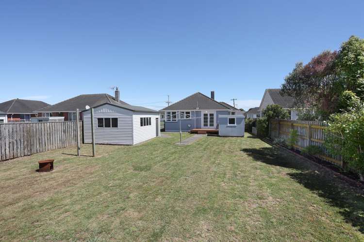 16 Kittyhawk Row Bulls_17