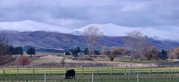 2907 Tarras Cromwell Road Tarras_9