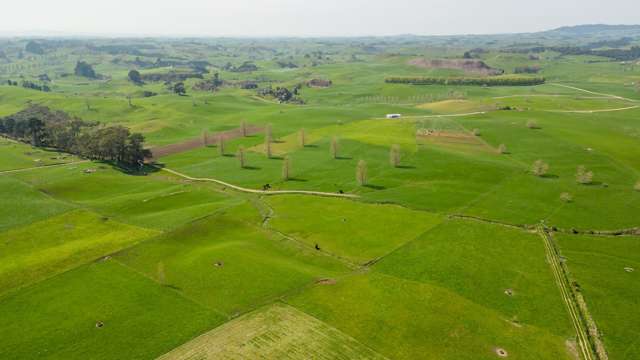 62 Seafund Road Te Awamutu_4