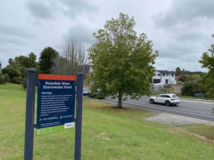 389 Rosedale Road Albany_15