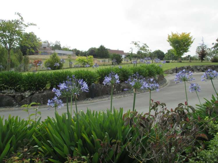 77 Ribbonwood Road Geraldine_7