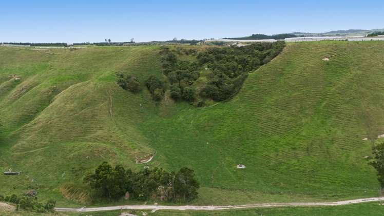 147A Pikowai Road Pikowai_15