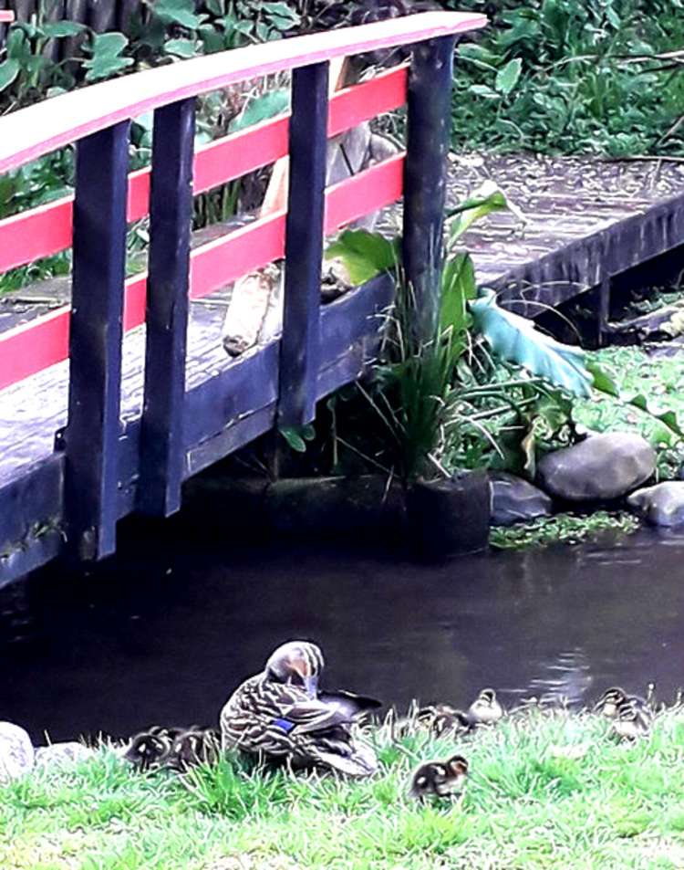 36 Bays Road Orere Point_8