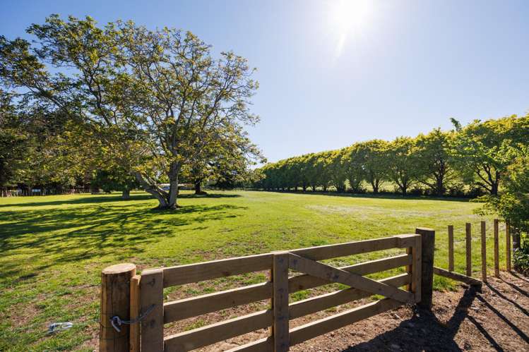 2373 Pohangina Valley East Road Pohangina Valley_12