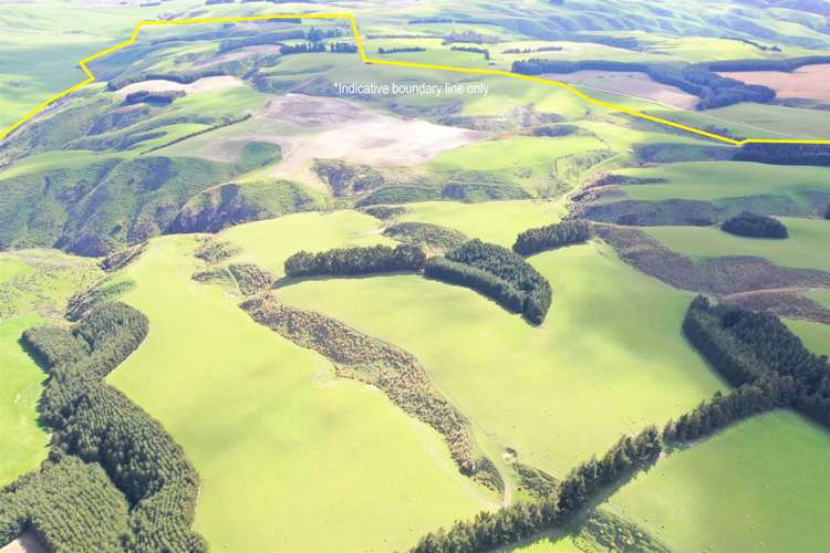 348 Keppoch Road West Otago Surrounds_24