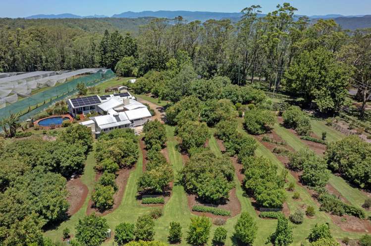 332-356 Main Western Road Tamborine Mountain_37