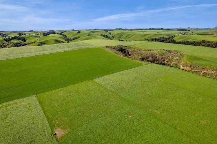 0n Mountain Road Normanby_16