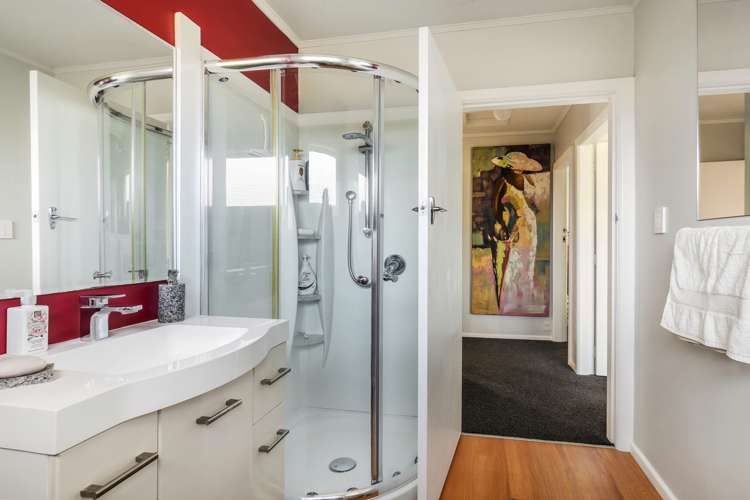 163 Milton Street The Wood_11