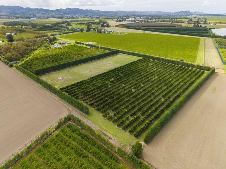 209 Bell Road Makaraka_29