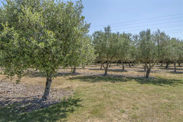 74 Modena Place Ohoka_22