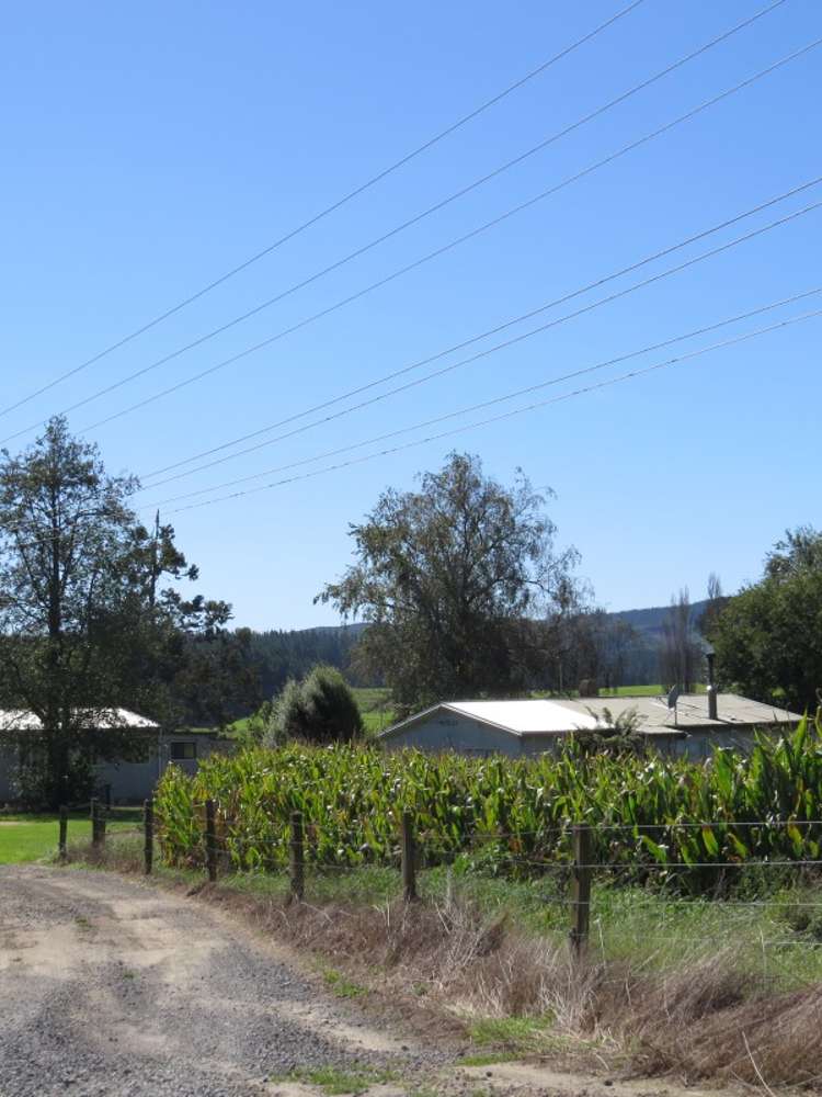 6261 State Highway 1 Kinleith_25