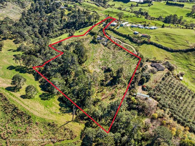 193 Lindemann Road Katikati_3