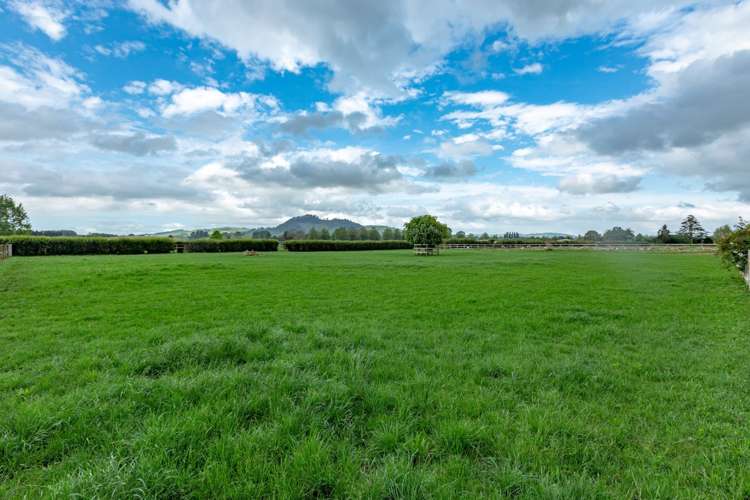 269 Bellevue Road Matangi_15