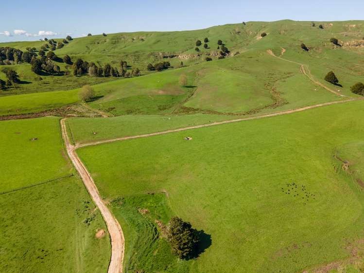 246 Allen And Eyre Road Onewhero_17