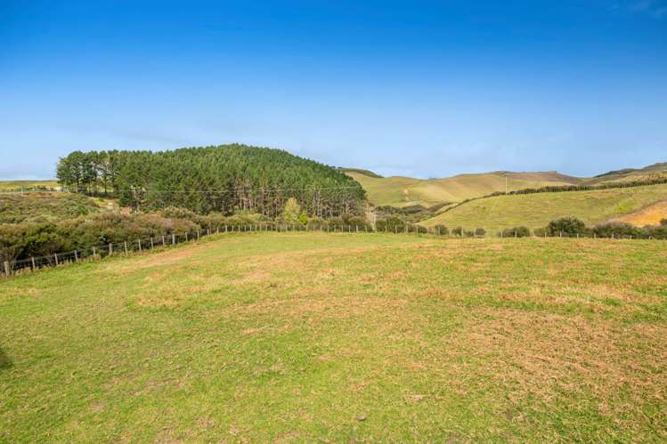 15a Slater Road South Head_37