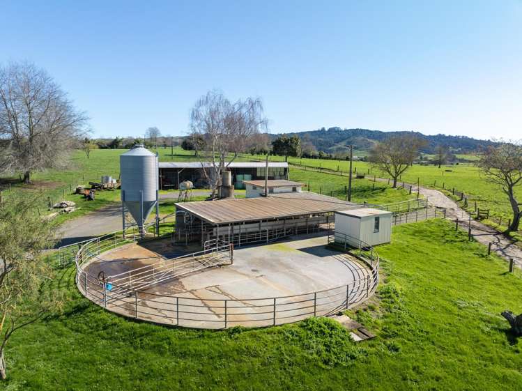 97 Herbert Road Morrinsville_3