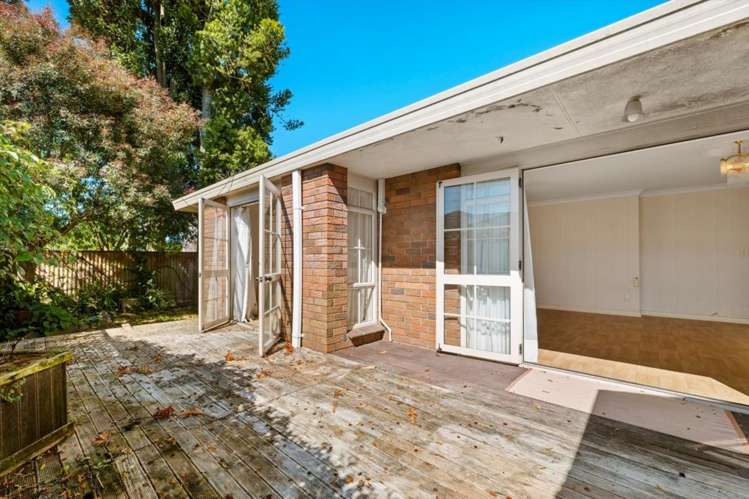 6A Moehau Street Te Puke_9