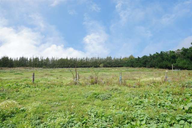 314 Hasketts Road Yaldhurst_3