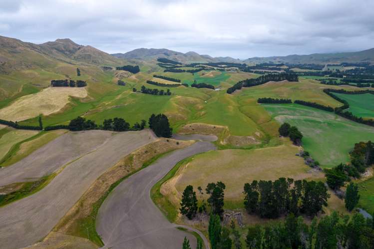 6 Clermont Street Ward_11