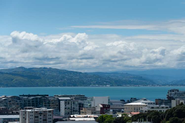 28m Bidwill Street Mount Cook_10