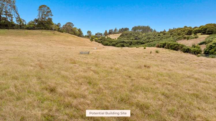 592 Kanohi Road Kaukapakapa_36