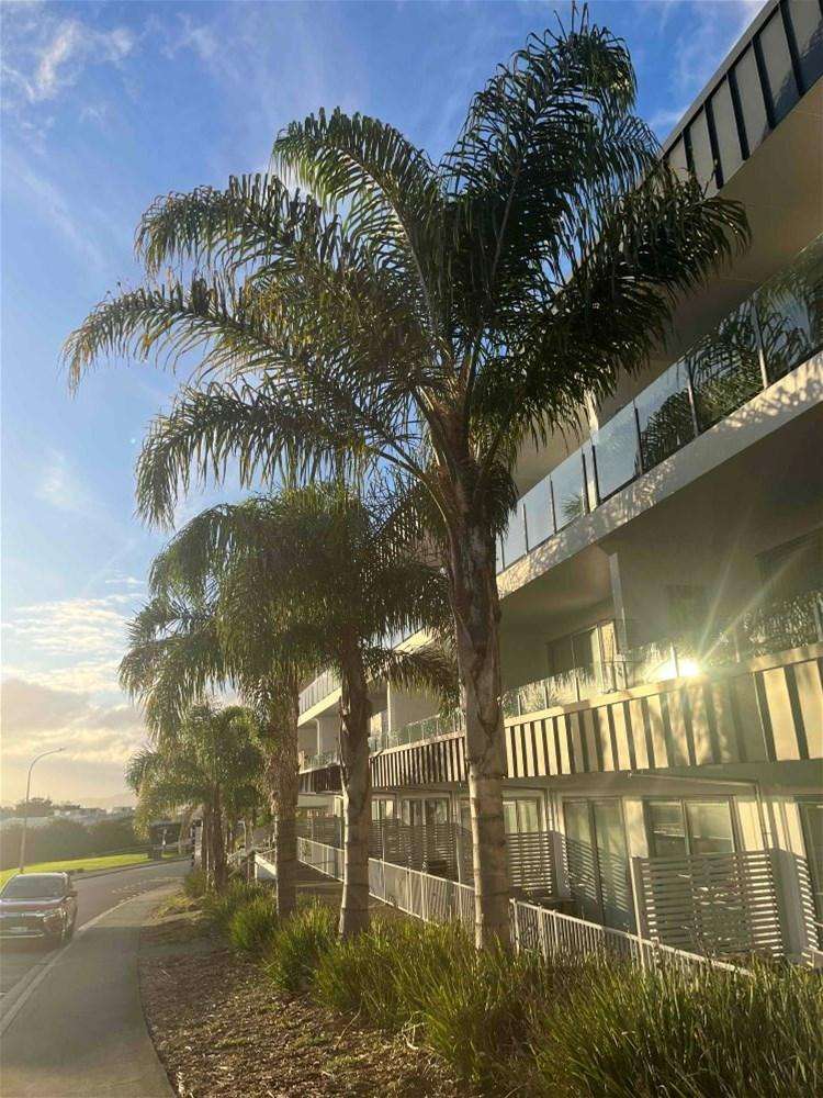 210/17 Link Crescent Stanmore Bay_16