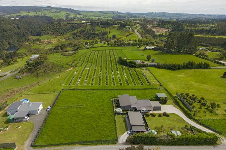 534b Mclaren Falls Road Kaimai_23