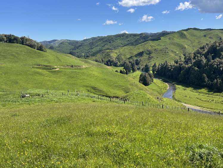 104 Tapuae Road Honikiwi_42