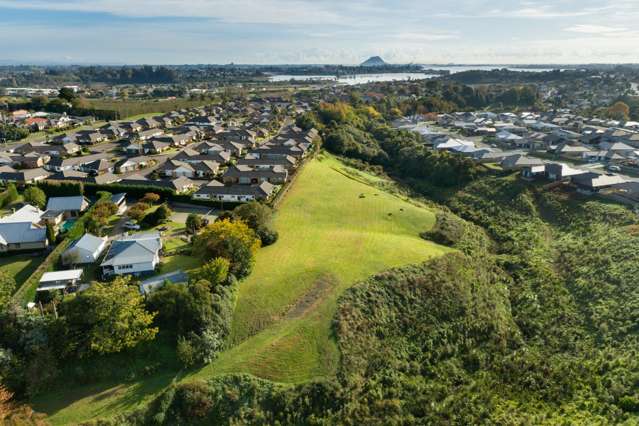 Lot 1 - 4 Joblin Way Ohauiti_3