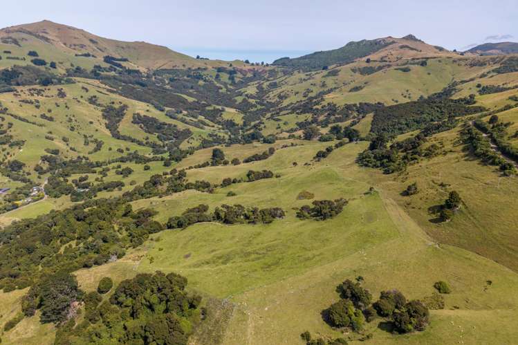 175 Barrys Bay Valley Road Barrys Bay_25