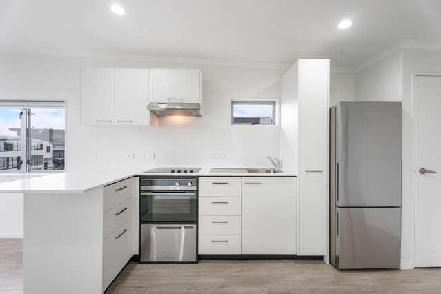 4A/1 Ophir Street Grey Lynn_2