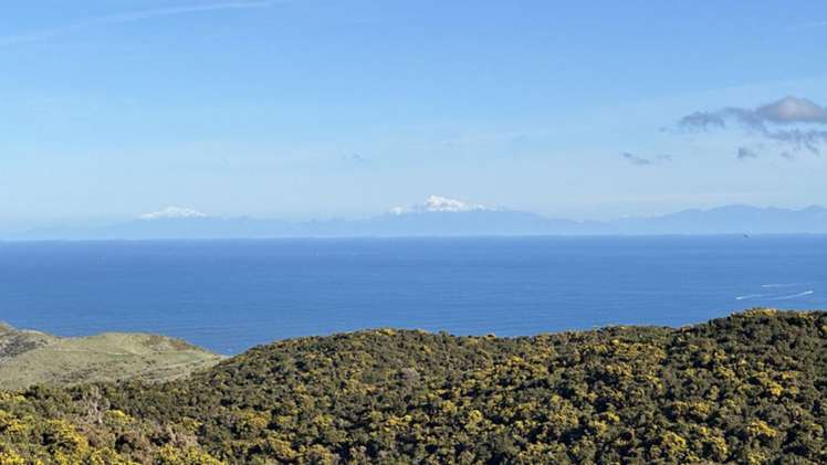 525 Muritai Road Pencarrow Head_18