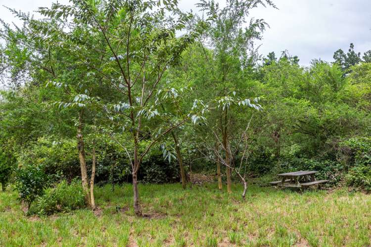 80 Johnston Street Featherston_13