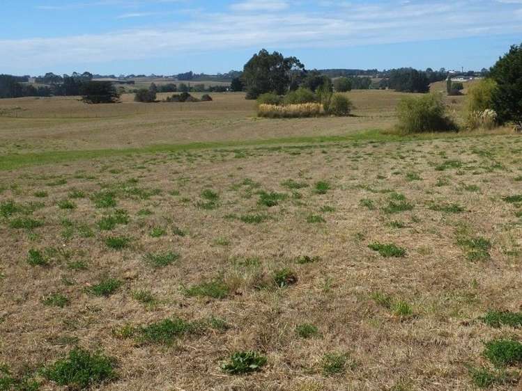 294 Parsons Road Weston_1