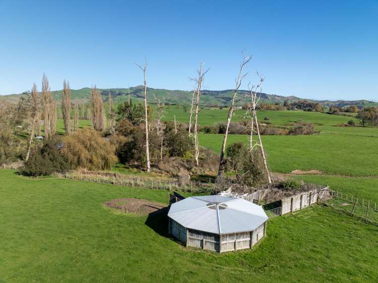 24 Waterworks Road Morrinsville_31