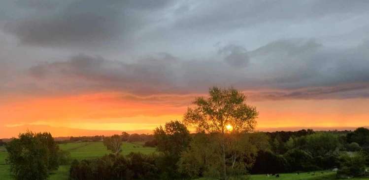 3330 Ohaupo Road Rukuhia_29